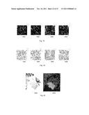 Spatially Registering User Photographs diagram and image