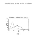 GENERATION AND CHARACTERIZATION OF ANTI-NOTCH ANTIBODIES FOR THERAPEUTIC     AND DIAGNOSTIC USE diagram and image