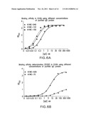 GENERATION AND CHARACTERIZATION OF ANTI-NOTCH ANTIBODIES FOR THERAPEUTIC     AND DIAGNOSTIC USE diagram and image