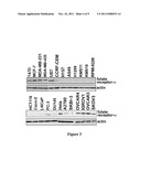 CONJUGATES OF NOSCAPINE AND FOLIC ACID AND THEIR USE IN TREATING CANCER diagram and image