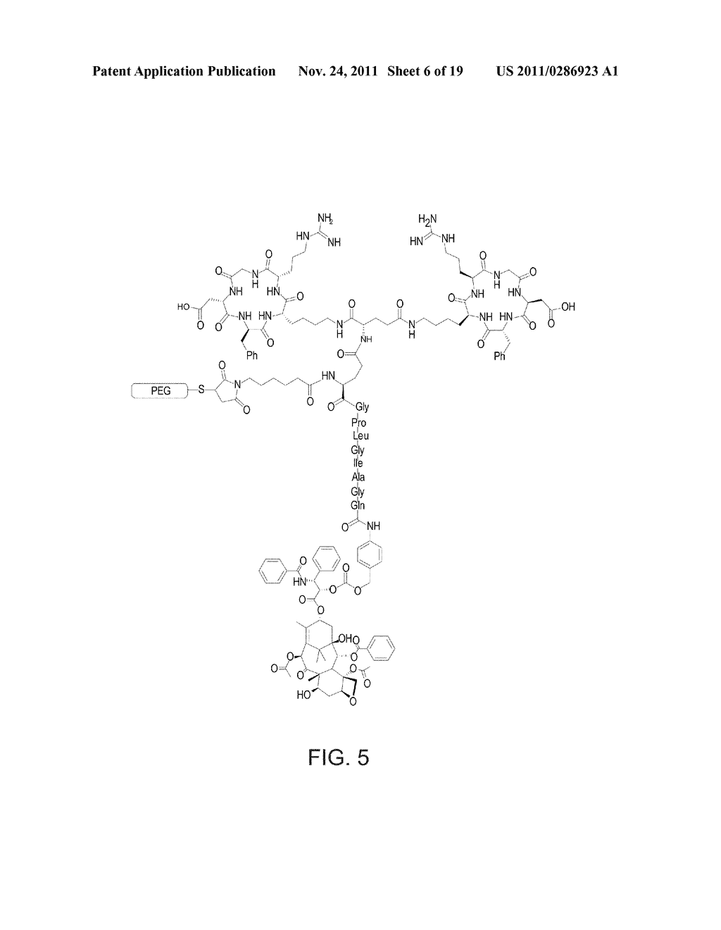 NOVEL CONJUGATES OF POLYMERS HAVING A THERAPEUTICALLY ACTIVE AGENT AND AN     ANGIOGENESIS TARGETING MOIETY ATTACHED THERETO AND USES THEREOF IN THE     TREATMENT OF ANGIOGENESIS RELATED DISEASES - diagram, schematic, and image 07