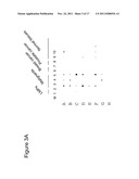 NOVEL HUMAN ENDOGENOUS RETROVIRAL ERV3 VARIANT AND USES THEREOF IN THE     DIAGNOSING OVARIAN CANCER diagram and image