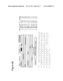 NOVEL HUMAN ENDOGENOUS RETROVIRAL ERV3 VARIANT AND USES THEREOF IN THE     DIAGNOSING OVARIAN CANCER diagram and image