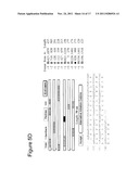 NOVEL HUMAN ENDOGENOUS RETROVIRAL ERV3 VARIANT AND USES THEREOF IN THE     DIAGNOSING OVARIAN CANCER diagram and image