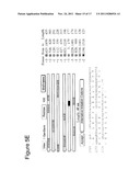 NOVEL HUMAN ENDOGENOUS RETROVIRAL ERV3 VARIANT AND USES THEREOF IN THE     DIAGNOSING OVARIAN CANCER diagram and image