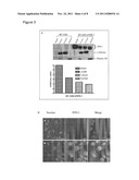 MEMBRANE TRANSDUCTION PEPTIDES, POLYNUCLEOTIDES, AND METHODS diagram and image