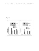 MEMBRANE TRANSDUCTION PEPTIDES, POLYNUCLEOTIDES, AND METHODS diagram and image