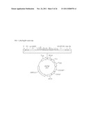 Genetically Intact Induced Pluripotent Cells Or Transdifferentiated Cells     And Methods For The Production Thereof diagram and image