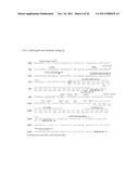 Genetically Intact Induced Pluripotent Cells Or Transdifferentiated Cells     And Methods For The Production Thereof diagram and image