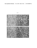 Genetically Intact Induced Pluripotent Cells Or Transdifferentiated Cells     And Methods For The Production Thereof diagram and image