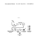 Genetically Intact Induced Pluripotent Cells Or Transdifferentiated Cells     And Methods For The Production Thereof diagram and image