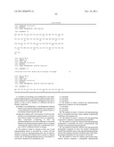 Genetically Intact Induced Pluripotent Cells Or Transdifferentiated Cells     And Methods For The Production Thereof diagram and image