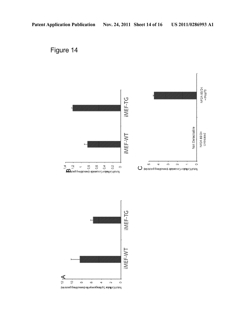 USE OF HSP70 AS A REGULATOR OF ENZYMATIC ACTIVITY - diagram, schematic, and image 15