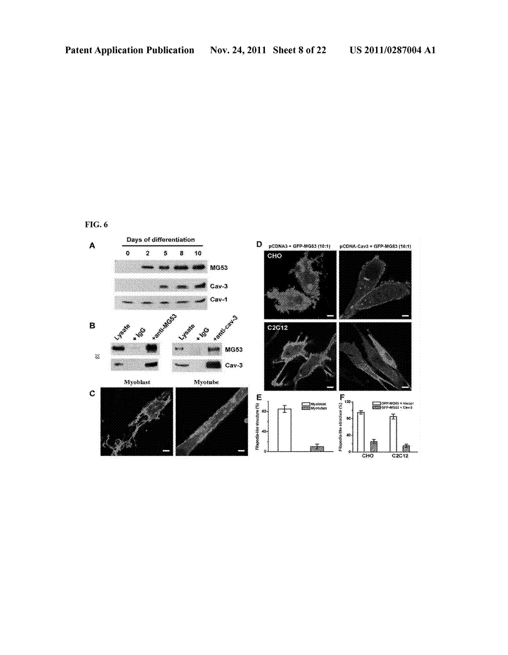 MG53 COMPOSITIONS AND METHODS OF USE - diagram, schematic, and image 09