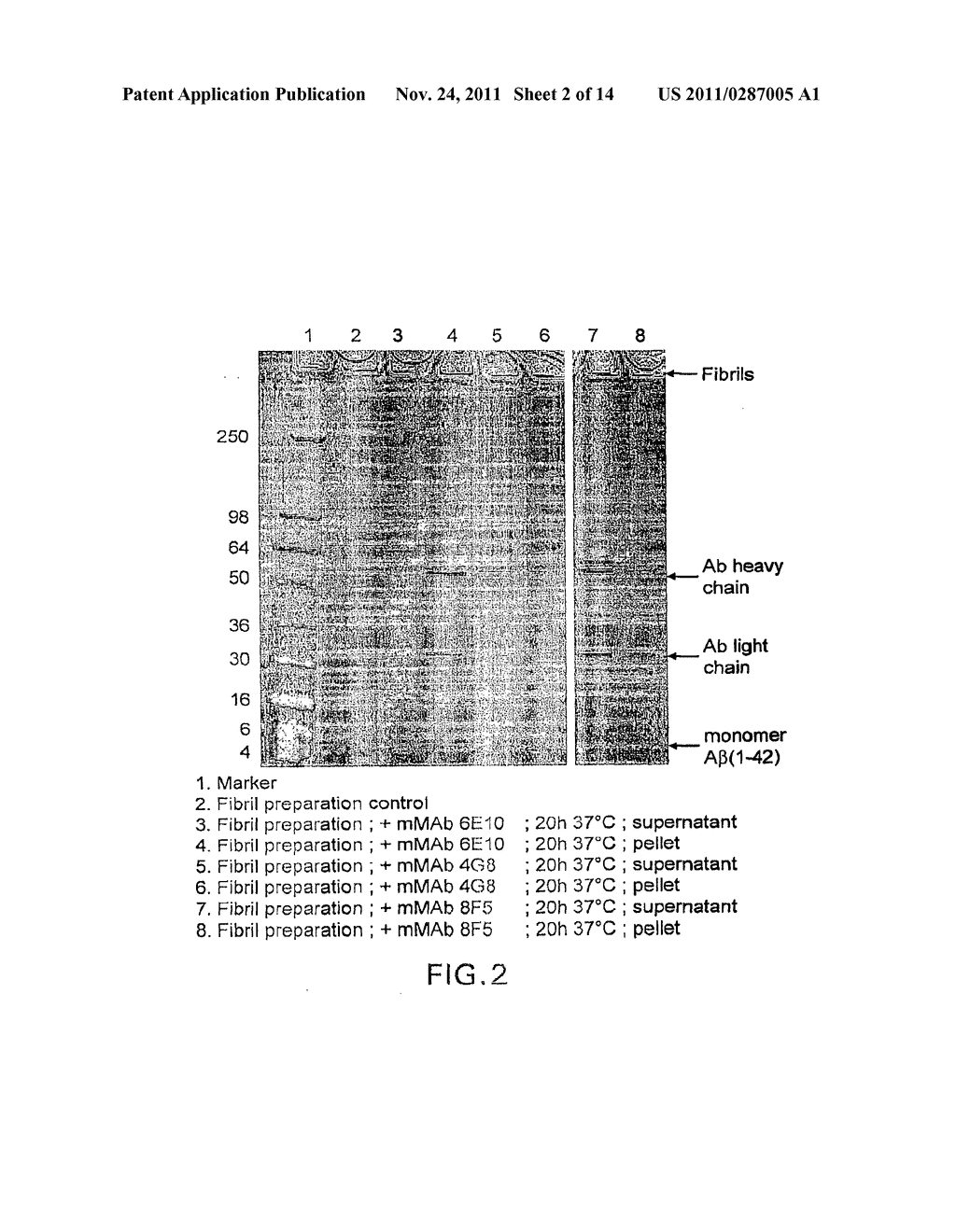 MONOCLONAL ANTIBODIES AGAINST AMYLOID BETA PROTEIN AND USES THEREOF - diagram, schematic, and image 03