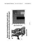 Treatment and Prevention of Chronic Asthma Using Antagonists of Integrin     AlphavBeta6 diagram and image