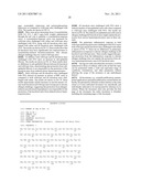 Treatment and Prevention of Chronic Asthma Using Antagonists of Integrin     AlphavBeta6 diagram and image