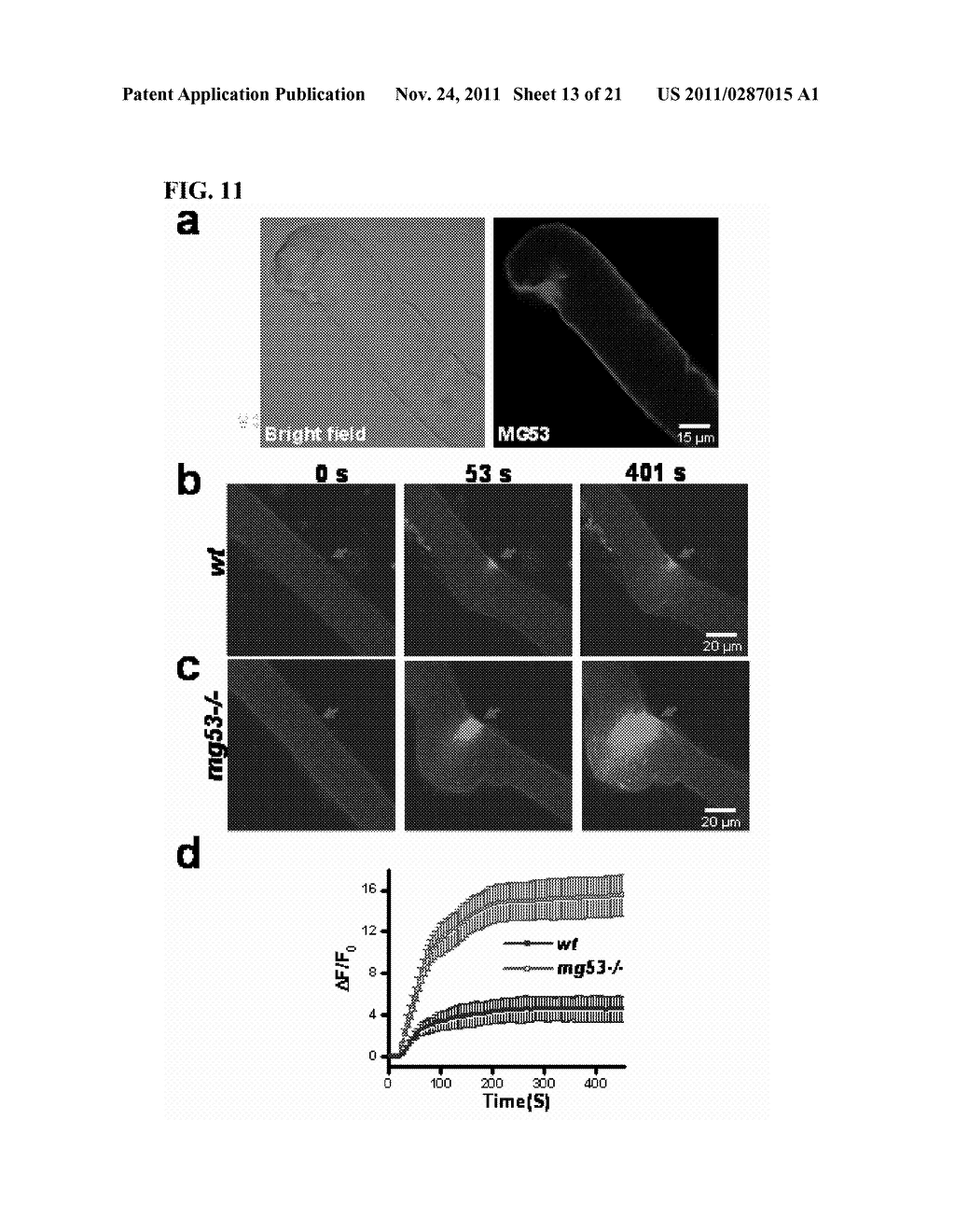 MG53 COMPOSITIONS AND METHODS OF USE - diagram, schematic, and image 14