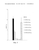 VASCULAR ENDOTHELIAL CELL GROWTH FACTOR ANTAGONISTS diagram and image