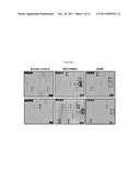 COMBINATION THERAPY AND METHOD FOR ASSESSING   RESISTANCE TO TREATMENT diagram and image