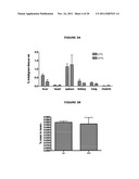 USE OF FERRITIN TO TREAT IRON DISORDERS diagram and image