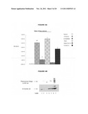 USE OF FERRITIN TO TREAT IRON DISORDERS diagram and image