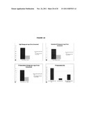 USE OF FERRITIN TO TREAT IRON DISORDERS diagram and image