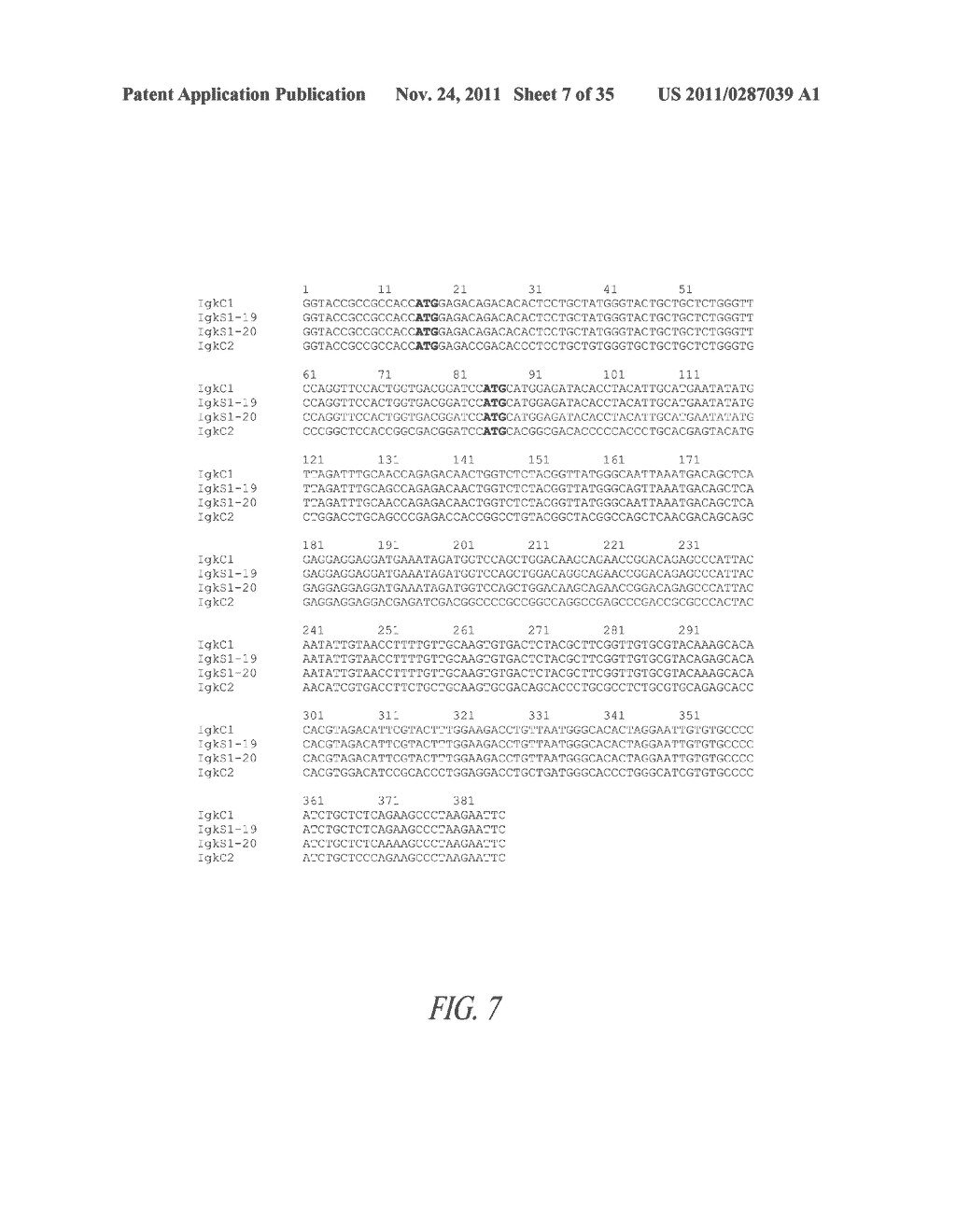 EXPRESSION SYSTEM FOR MODULATING AN IMMUNE RESPONSE - diagram, schematic, and image 08