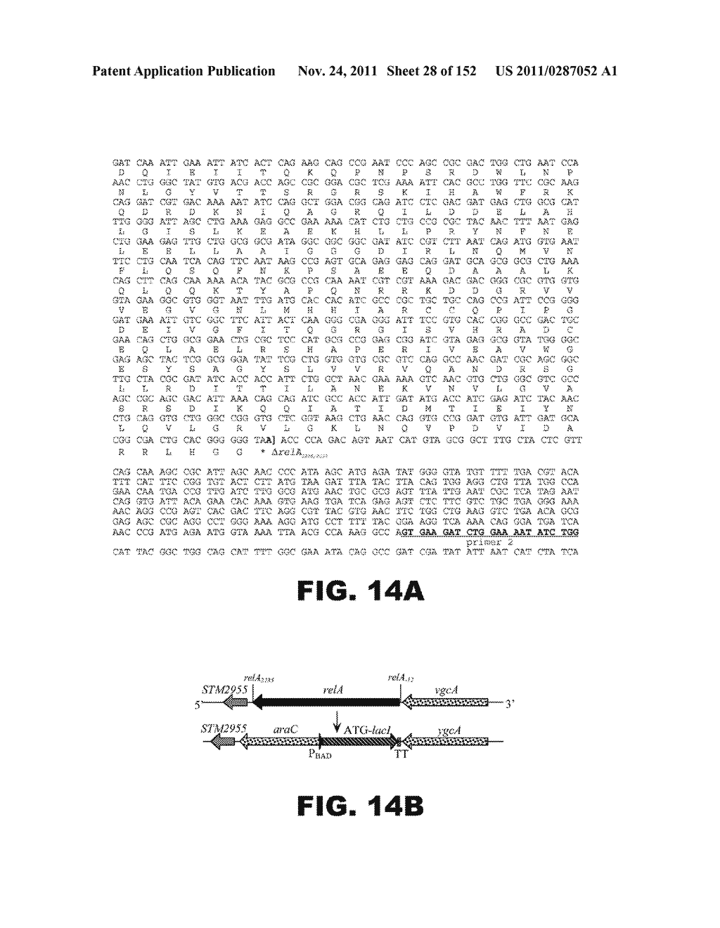 RECOMBINANT BACTERIUM CAPABLE OF ELICITING AN IMMUNE RESPONSE AGAINST     STREPTOCOCCUS PNEUMONIAE - diagram, schematic, and image 29