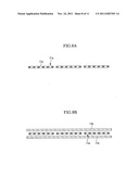 Electrode assembly, rechargeable battery including the same, and method of     manufacturing an electrode thereof diagram and image