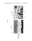 ELECTRICAL CONDUCTIVE MEMBER AND POLYMER ELECTROLYTE FUEL CELL USING THE     SAME diagram and image