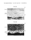 ELECTRICAL CONDUCTIVE MEMBER AND POLYMER ELECTROLYTE FUEL CELL USING THE     SAME diagram and image