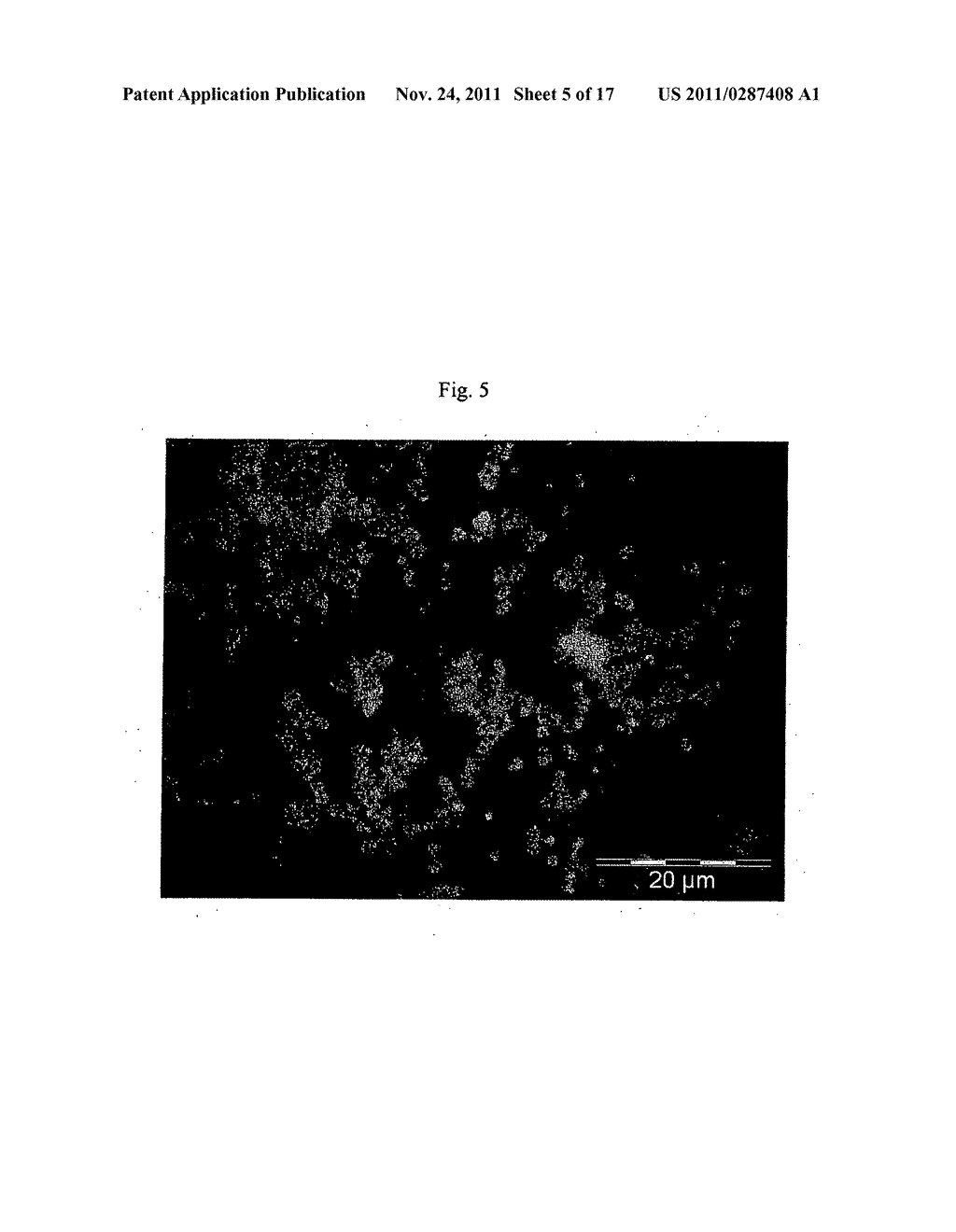 Preparation of Micro-Porous Crystals and Conjugates Thereof - diagram, schematic, and image 06