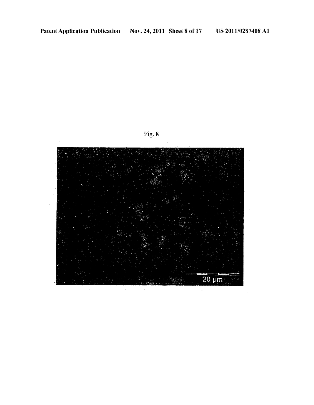 Preparation of Micro-Porous Crystals and Conjugates Thereof - diagram, schematic, and image 09