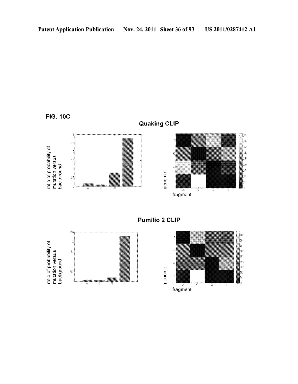 Methods for Identifying RNA Segments Bound by RNA-Binding Proteins or     Ribonucleoprotein Complexes - diagram, schematic, and image 37