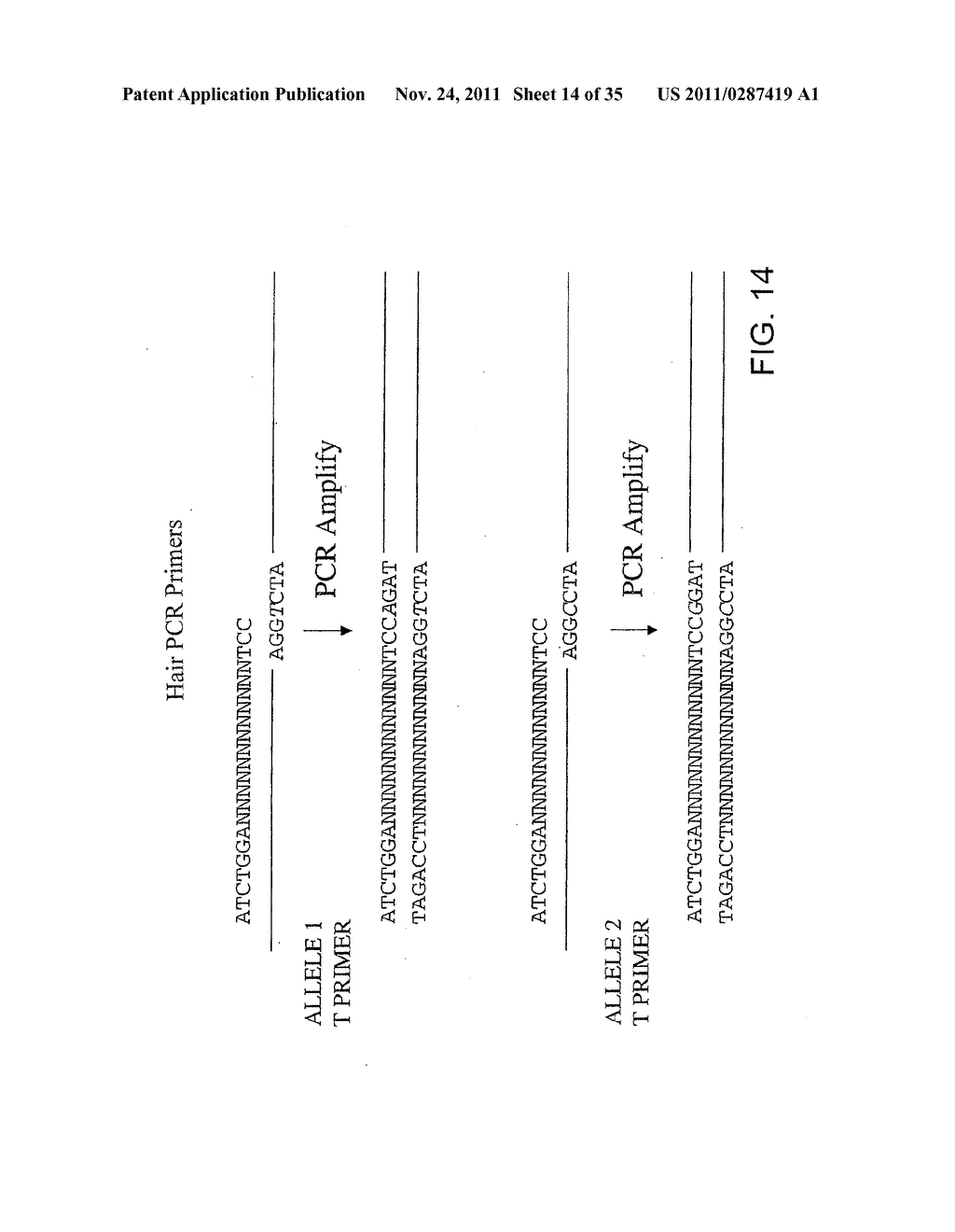 Method For Genetic Analysis Of DNA To Detect Sequence Variances - diagram, schematic, and image 15