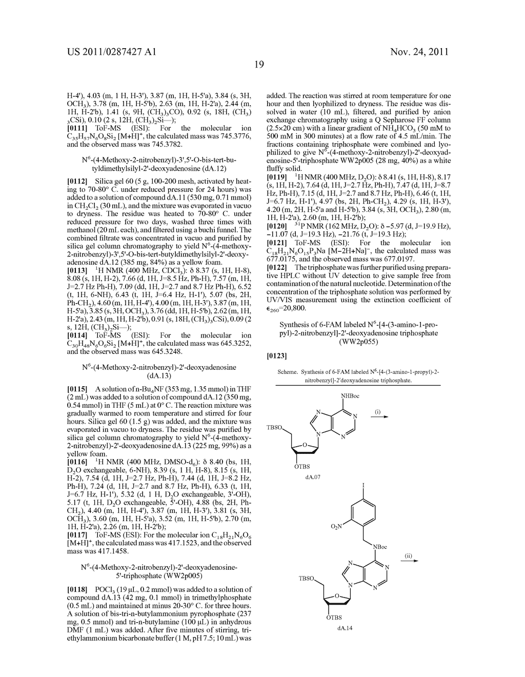 3'OH-UNBLOCKED, NUCLEOTIDES AND NUCLEOSIDES BASE MODIFIED WITH LABELS AND     PHOTOCLEAVABLE, TERMINATING GROUPS AND METHODS FOR THEIR USE IN DNA     SEQUENCING - diagram, schematic, and image 20