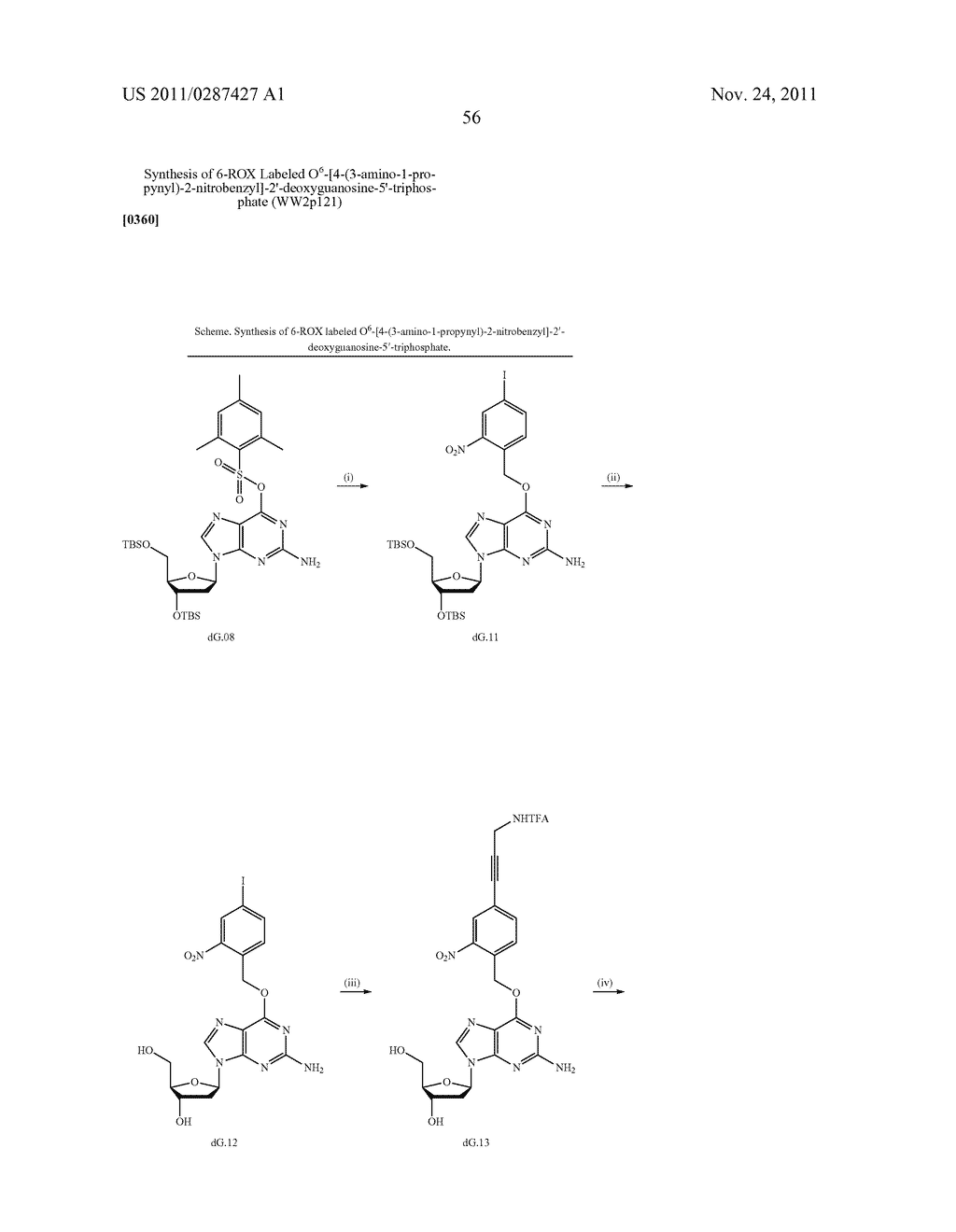 3'OH-UNBLOCKED, NUCLEOTIDES AND NUCLEOSIDES BASE MODIFIED WITH LABELS AND     PHOTOCLEAVABLE, TERMINATING GROUPS AND METHODS FOR THEIR USE IN DNA     SEQUENCING - diagram, schematic, and image 57