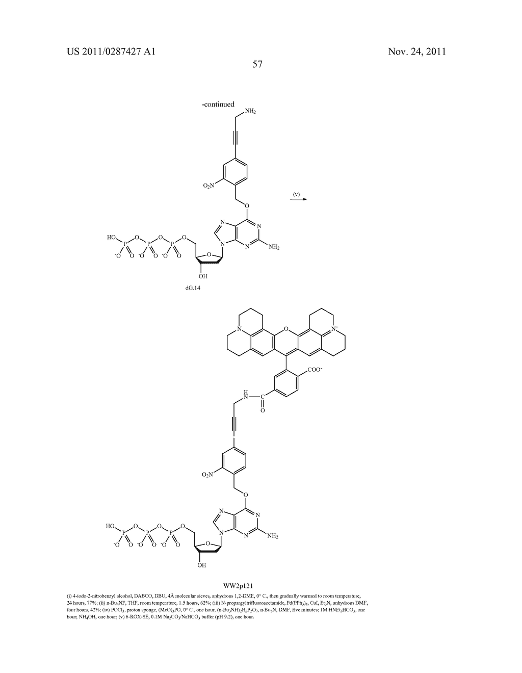 3'OH-UNBLOCKED, NUCLEOTIDES AND NUCLEOSIDES BASE MODIFIED WITH LABELS AND     PHOTOCLEAVABLE, TERMINATING GROUPS AND METHODS FOR THEIR USE IN DNA     SEQUENCING - diagram, schematic, and image 58