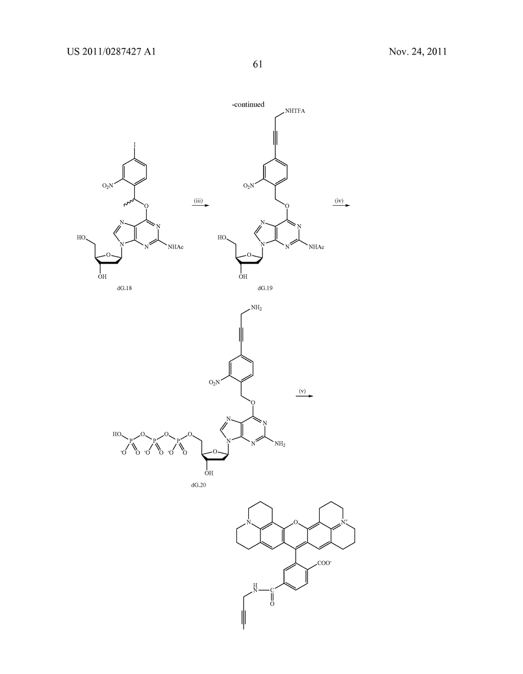 3'OH-UNBLOCKED, NUCLEOTIDES AND NUCLEOSIDES BASE MODIFIED WITH LABELS AND     PHOTOCLEAVABLE, TERMINATING GROUPS AND METHODS FOR THEIR USE IN DNA     SEQUENCING - diagram, schematic, and image 62