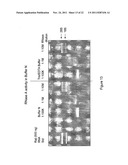 Detection Of Analytes And Nucleic Acids diagram and image