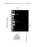 Detection Of Analytes And Nucleic Acids diagram and image