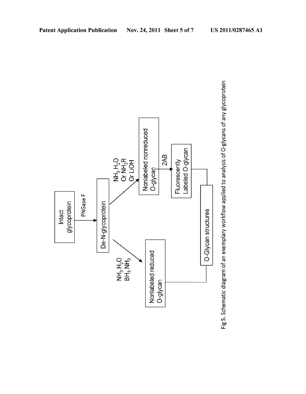 CHARACTERIZATION OF O-LINKED GLYCANS - diagram, schematic, and image 06