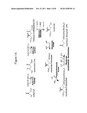 PRODUCTION OF ISOPRENOIDS diagram and image