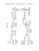 PRODUCTION OF ISOPRENOIDS diagram and image