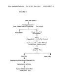 Protein concentrates and isolates, and processes for the production     thereof from toasted oilseed meal diagram and image