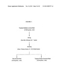 Protein concentrates and isolates, and processes for the production     thereof from toasted oilseed meal diagram and image