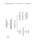 Protein concentrates and isolates, and processes for the production     thereof from toasted oilseed meal diagram and image