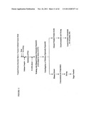 Protein concentrates and isolates, and processes for the production     thereof from toasted oilseed meal diagram and image