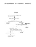 Protein concentrates and isolates, and processes for the production     thereof from toasted oilseed meal diagram and image